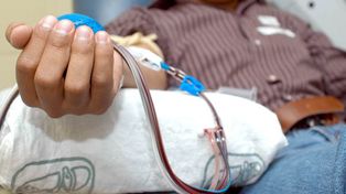 Récord de trasplantes de médula con donantes no emparentados