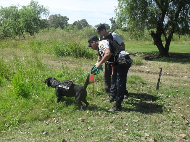 A la búsqueda de Cejas en San Jorge se sumaron efectivos de la Sección Perros de la Unidad Regional I de Santa Fe.