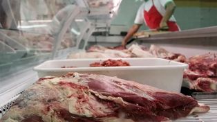 Personal de la secretaría de Control Y Convivencia realizó los secuestros de 280 kilos de carne.