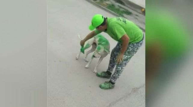 perroverde
