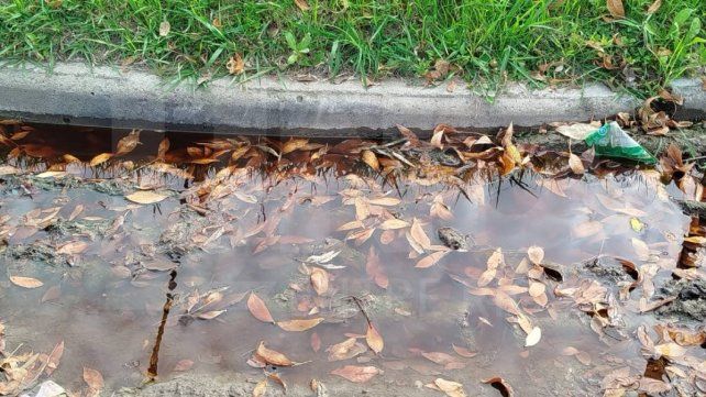 La comuna de Colonia Avellaneda trabaja para solucionar una obstrucción en una cañería cercana a la planta de elevación de líquidos cloacales.&nbsp;