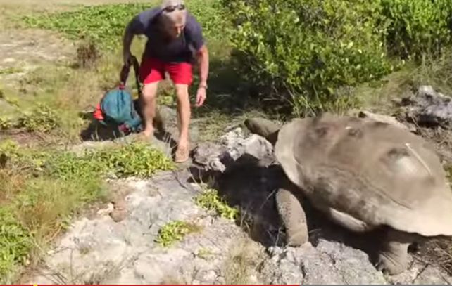 La tortuga se le fue encima a Paul Rose