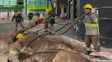 La EPE recambió más de 120 kilómetros de cables de baja tensión y reparó mil veredas en Rosario