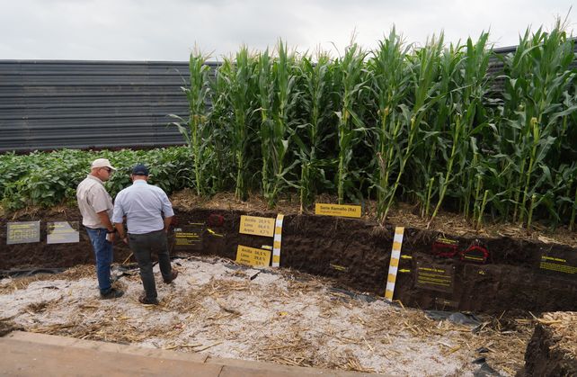 Arrancó Expoagro con una fuerte oferta de créditos