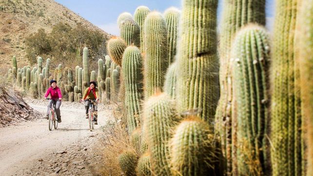 Salta espera un aluvión de visitantes