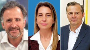 Dos votos afirmativos y uno negativo marcó la posición de Entre Ríos en la media sanción que el Senado otorgó al proyecto de modificación de la norma ambiental.&nbsp;