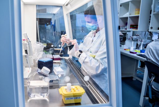 Científicos del Consejo Superior de Investigaciones Científicas de España crean un material que elimina el coronavirus.&nbsp;