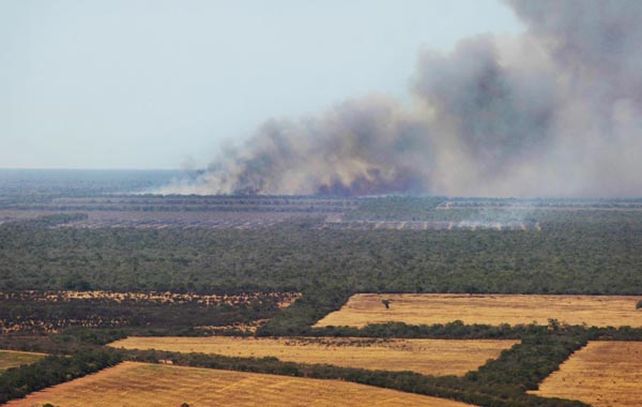 Los desmontes y la ampliación de las fronteras agrícolas ponen en riesgo la sustentabilidad.