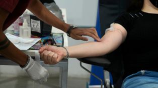Cuántos donantes de sangre necesita Rosario por día: el nuevo perfil de voluntario y los requisitos