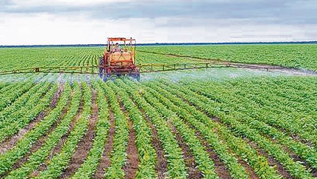 Apenas la mitad de los sojeros fertiliza