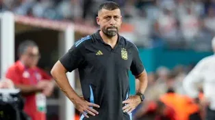 Walter Samuel, deja el combinado nacional.