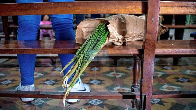 Con el Domingo de Ramos, la Iglesia inicia la Semana Santa