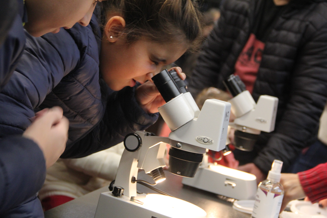 La ciencia desembarca de la mano de la Universidad como una alternativa en vacaciones.&nbsp;