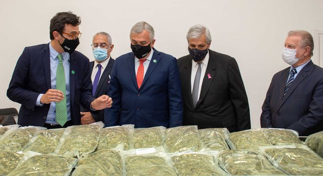 Jujuy comienza a proveer a las farmacias el aceite de cannabis de producción estatal