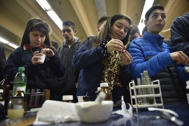 Manos a la obra. Los adolescentes realizaron ayer sus propios experimentos.