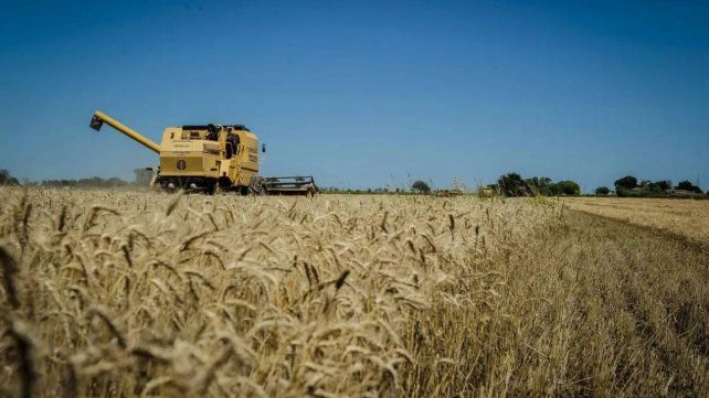Entre Ríos: las exportaciones crecieron 47 por ciento en 2025