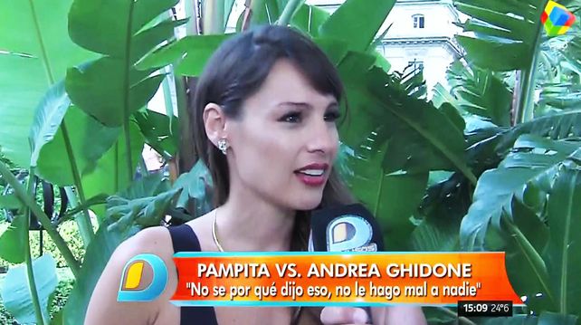 Pampita habló de Andrea Ghidone: No sé por qué dijo eso, yo no le hago mal a nadie