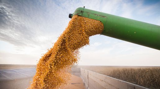 Retenciones: estiman que el agro aportará US$4.613 millones en 2026