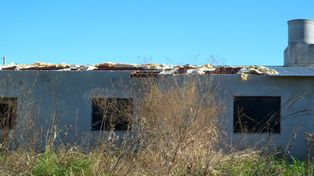 Solicitan informes sobre plan de viviendas abandonado en el norte de la ciudad
