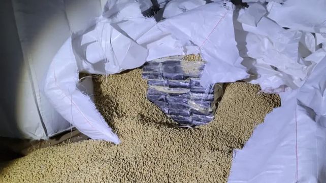 La droga estaba disimulada dentro de bolsas “big bag” en medio de un cargamento de 160 toneladas de expeler de maíz.