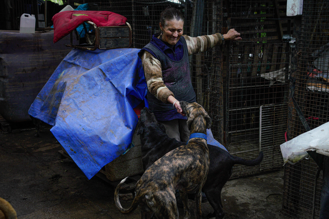Graciela dedica su vida a mantener a perros abandonados en su refugio, por lo que a los animales se los conoce como 
