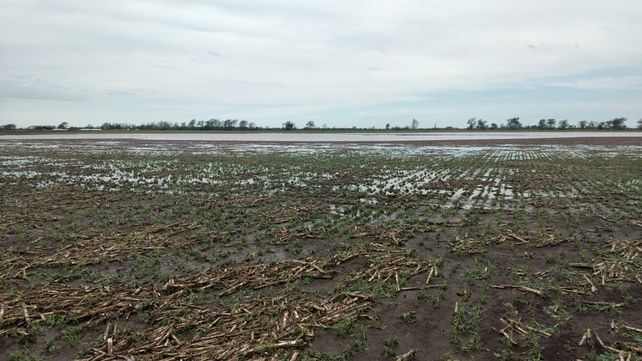 Daños en lotes al norte de San Jorge