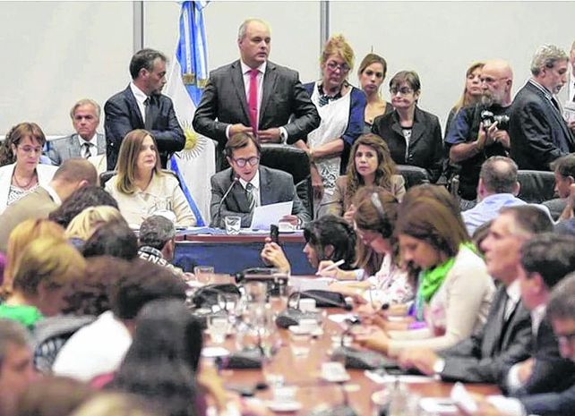 sala. El diputado del PRO Daniel Lipovetzky (al micrófono) decidió intercalar las exposiciones a favor y en contra.