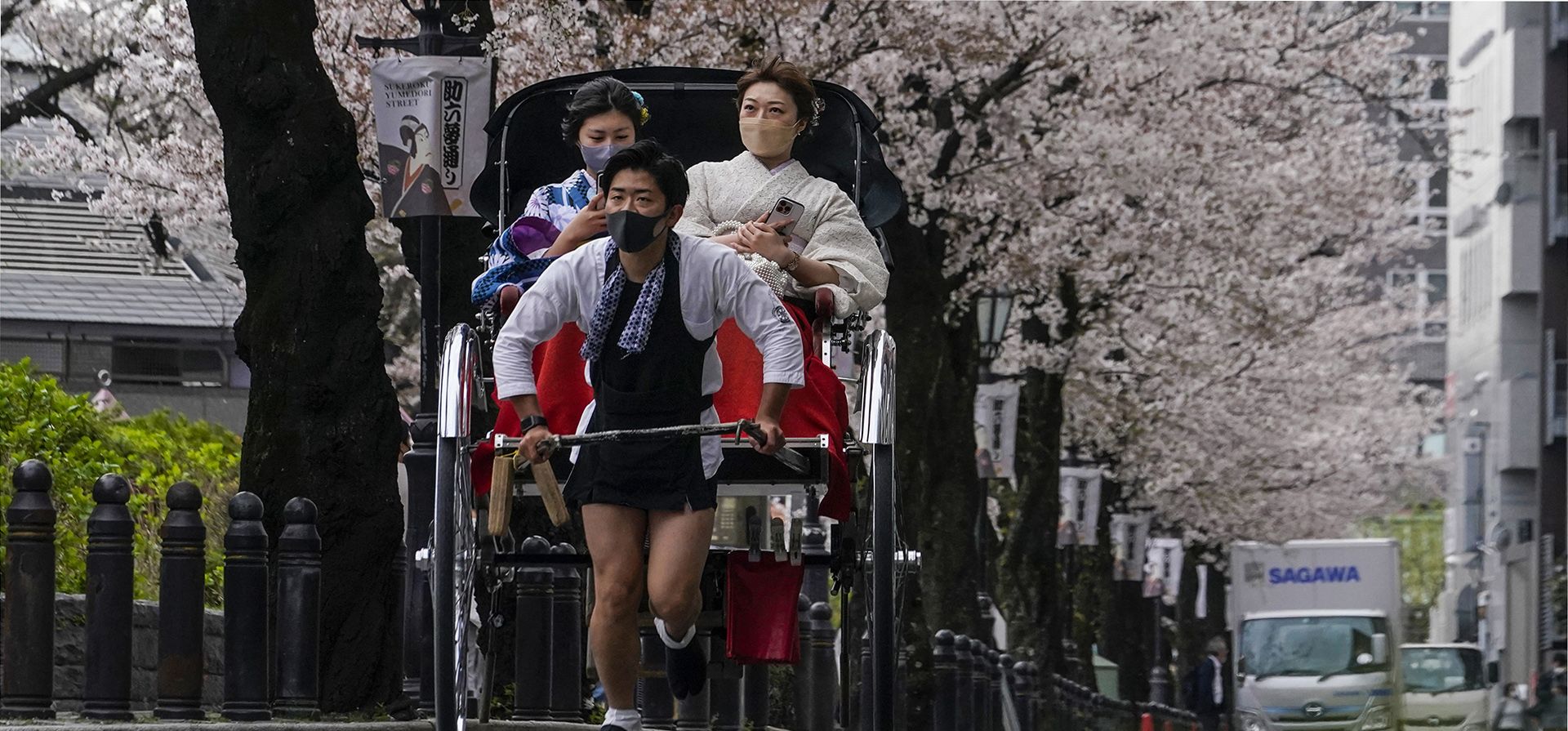 Mujeres vestidas con trajes tradicionales de kimono dan un paseo en rickshaw bajo un dosel de cerezos en flor el jueves 31 de marzo de 2022 en Tokio. Las personas en todo Japón están celebrando la temporada alta de observación de los cerezos en flor esta semana sin las restricciones de COVID-19 vigentes por primera vez en dos años.