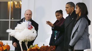 Obama indultó simbólicamente a un pavo en una tradición del Día de Acción de Gracias