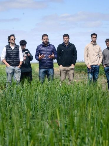 La cebada, orgullo argentino: se presentaron nuevas variedades