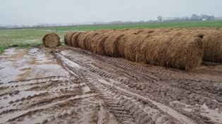 Una localidad de Santa Fe acumuló 260 milímetros de lluvia en pocas horas