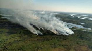 Suman a 2.600 hectáreas del Delta del Paraná como áreas protegidas