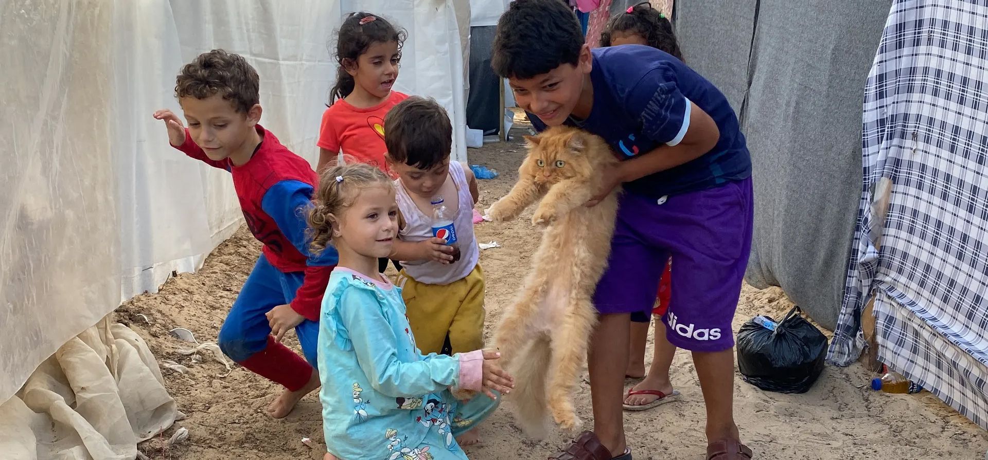 Niños desplazados juegan con un gato, Khan Younis, Franja de Gaza. Fotografía: Reuters Niños desplazados juegan con un gato, Khan Younis, Franja de Gaza. Fotografía: Reuters