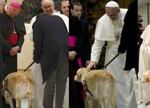 Piden al Papa que derogue una norma que prohíbe mascotas en propiedades del Vaticano