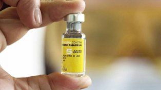 La vacuna contra la fiebre amarilla dejará de ser gratuita en Entre Ríos