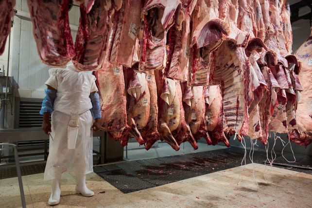 Los precios de la carne se entonan en la última parte del año.
