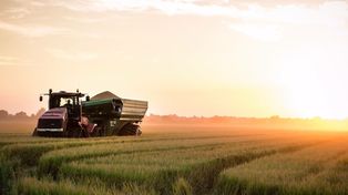 Los tractores son las máquinas agrícolas por excelencia, ya que cuentan con una gran versatilidad y ofrecen un gran rendimiento en su relación costo – calidad