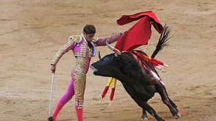 Un Tribunal anuló sorpresivamente la prohibición de corridas de toros en Cataluña