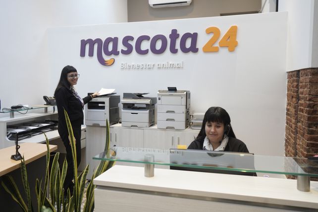 El equipo atiende la demanda de los abonados todos los días, incluidos los feriados y fines de semana.