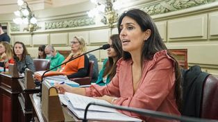 El proyecto fue ingresado por la diputada provincial Dámaris Pacchiotti.