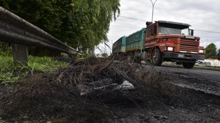 El letrado sugirió que el camionero que atropelló a un manifestante sea declarado inimputable.
