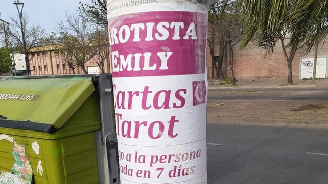 La tarotista fue multada por la Municipalidad luego de pegar afiches en toda la avenida.