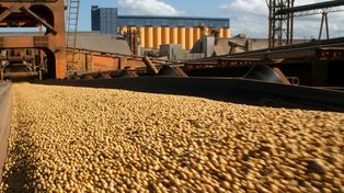 Crushing. El poder teórico de compra del sector industrial y exportador se ha incrementado un 25% en poco más de un mes y el salto desde la baja de retenciones ha sido significativamente pronunciado.