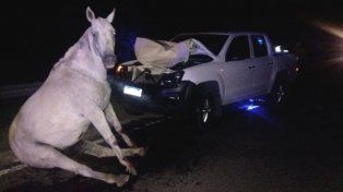 Chocó con caballo de madrugada en La Picada