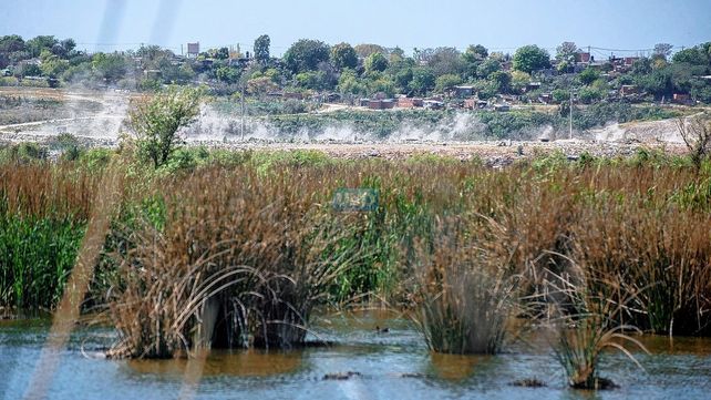 Humedales. En el oeste está el más extenso borde costero paranaense