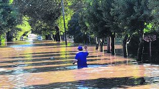 Alerta por el grado de las catástrofes ambientales del país