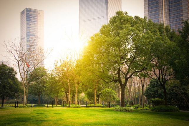 La urgencia y la justicia climática en el corazón de la política climática de Rosario
