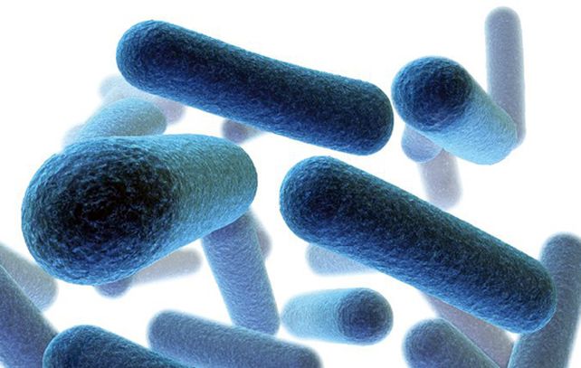 Otra setenta personas podrían haber resultado afectadas con enterobacterias resistentes a los carbapenemes.