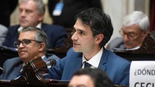 El diputado radical Juan Martín