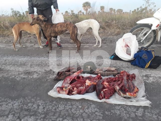 Secuestraron especies autóctonas a un cazador furtivo en el norte santafesino